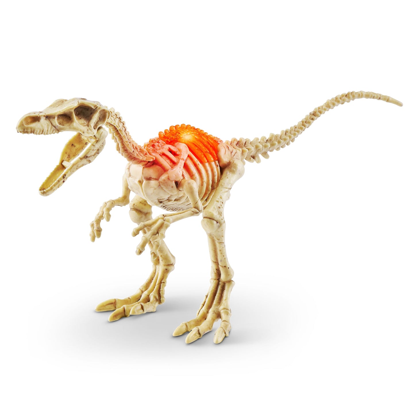 ZURU Robo Alive Mini Dino Fossil Find